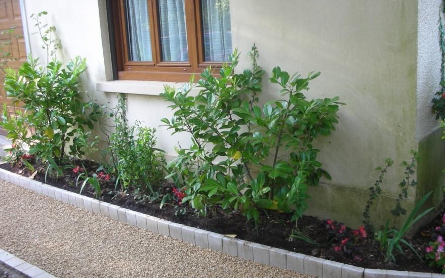 Cration Alle pitonne en Alvostar  Esmans conue le 01/05/2025