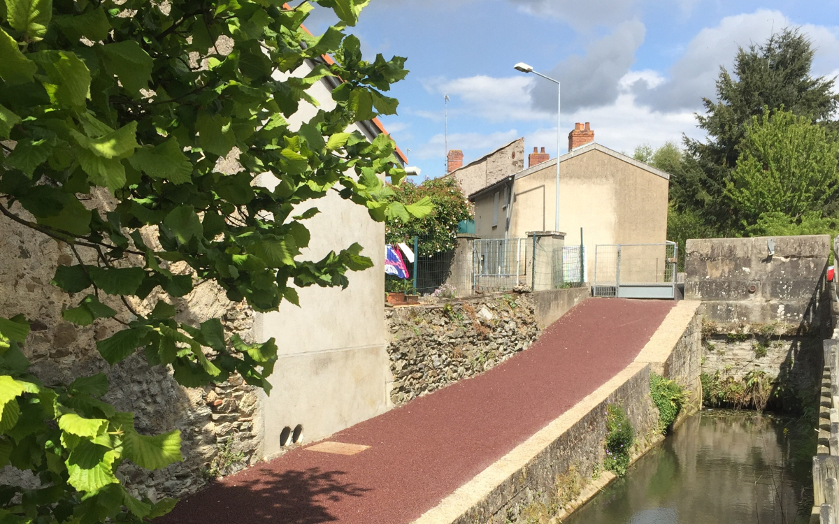 Conception Alle pitonne en Stardraine  Chemill-en-Anjou cre le 02/05/2025