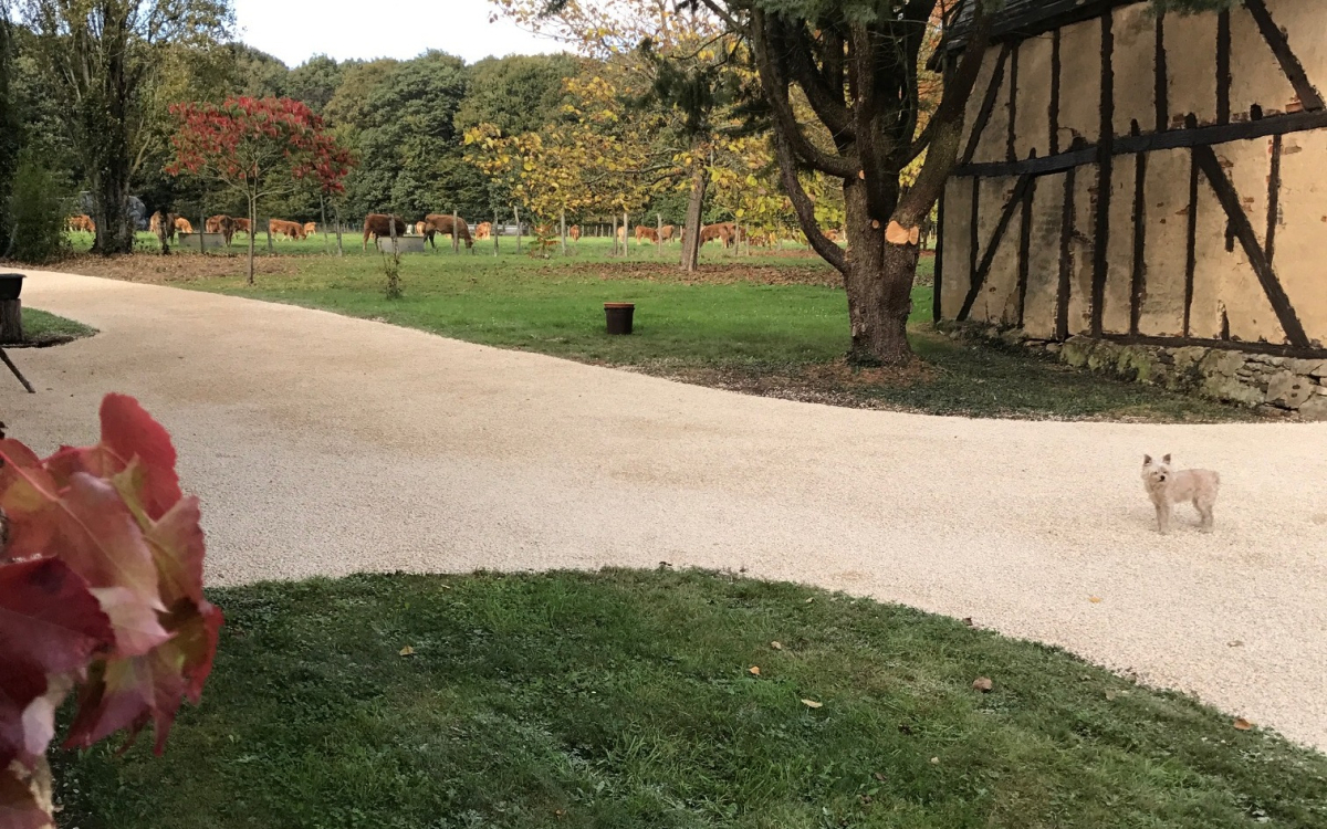 Ralisation Alle pitonne en Gravistar  Neuville sur Sarthe cre le 01/05/2025