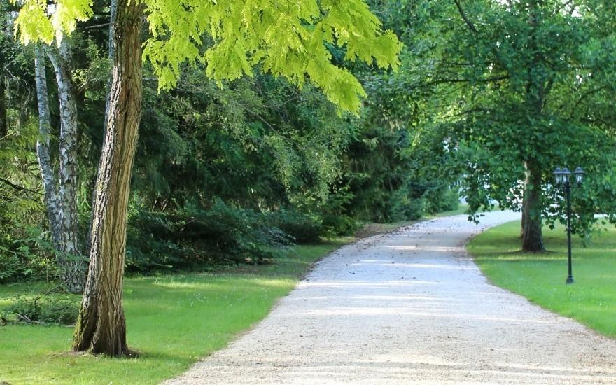 Conception Chemin en Alvostar  Recloses ralise le 23/06/2020