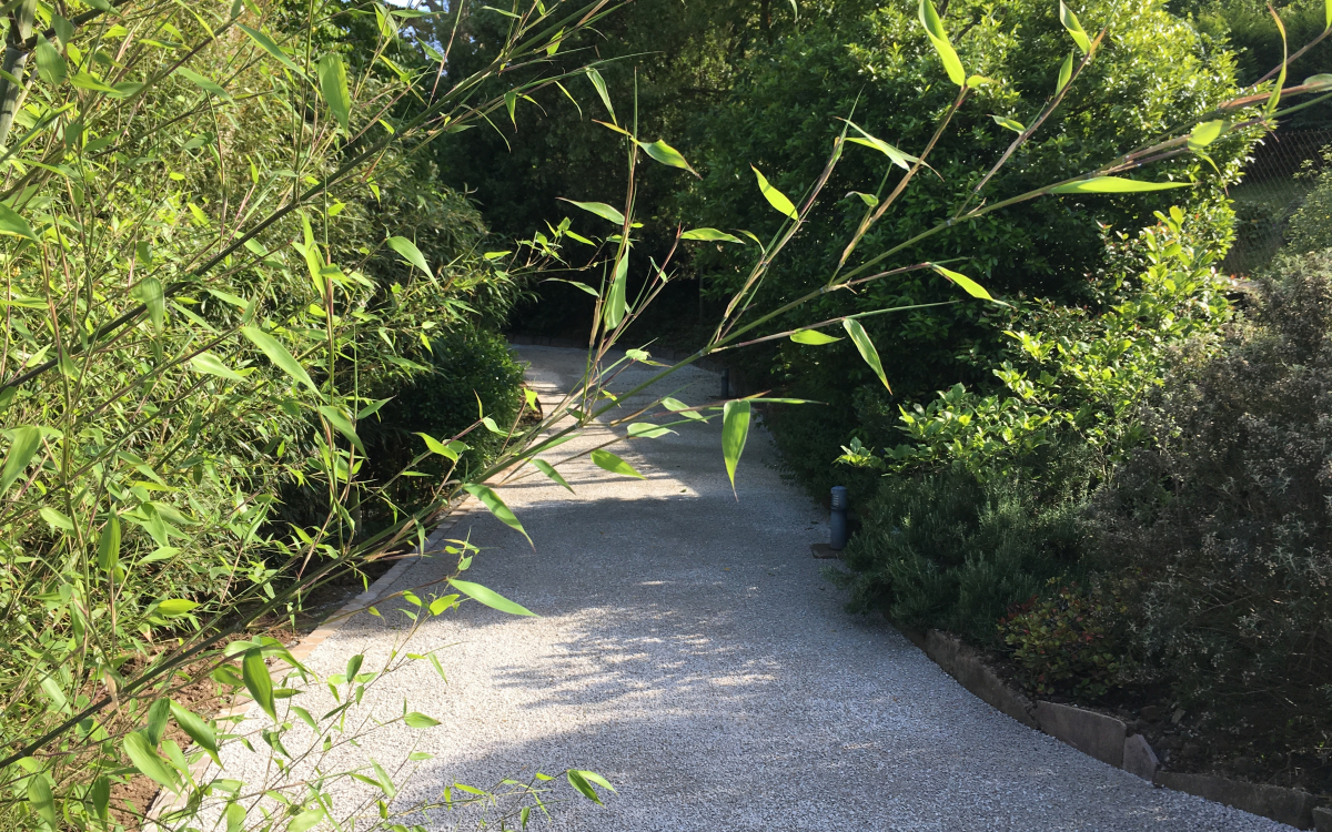 Ralisation Chemin en Alvostar  Berneville Cartenet