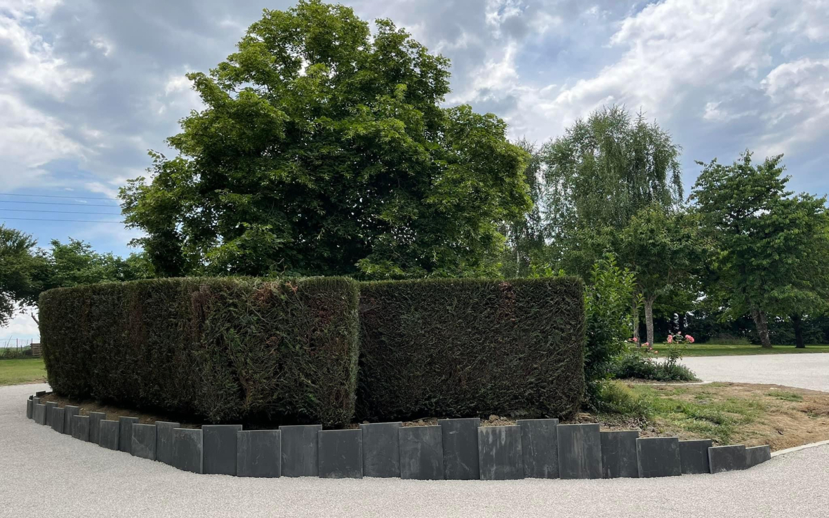 Cration Cour en Alvostar et Gravistar - Somme conue le 21/06/2022