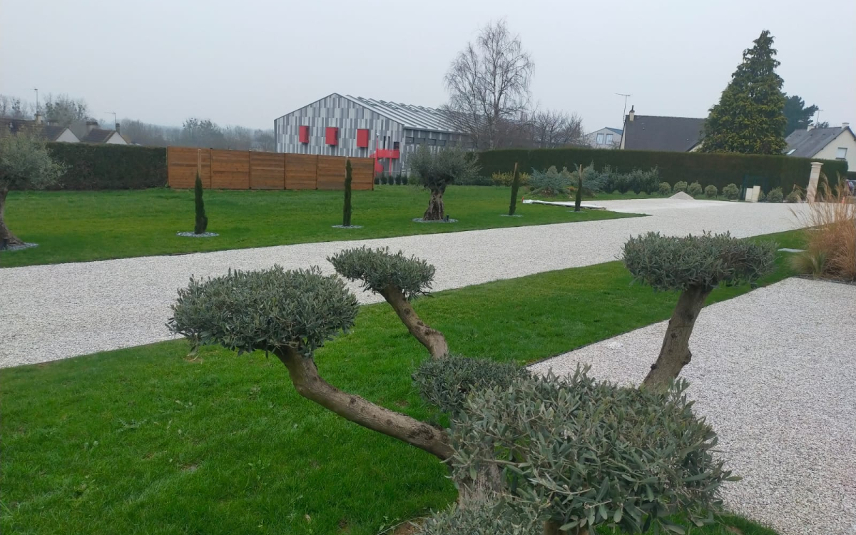 Cration Cour en Alvostar et Gravistar - Manche ralise le 03/03/2023