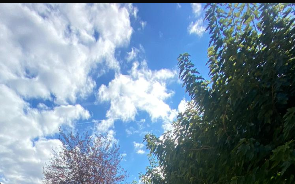 R�alisation Cour en Hydrostar� - Ain