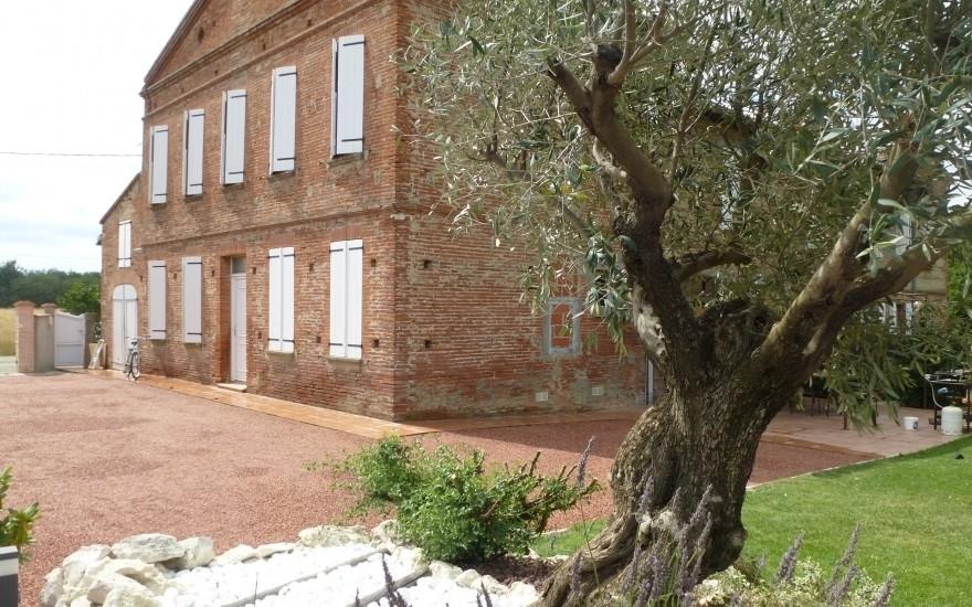 Conception Cour en Gravistar  Daux cre le 30/04/2025