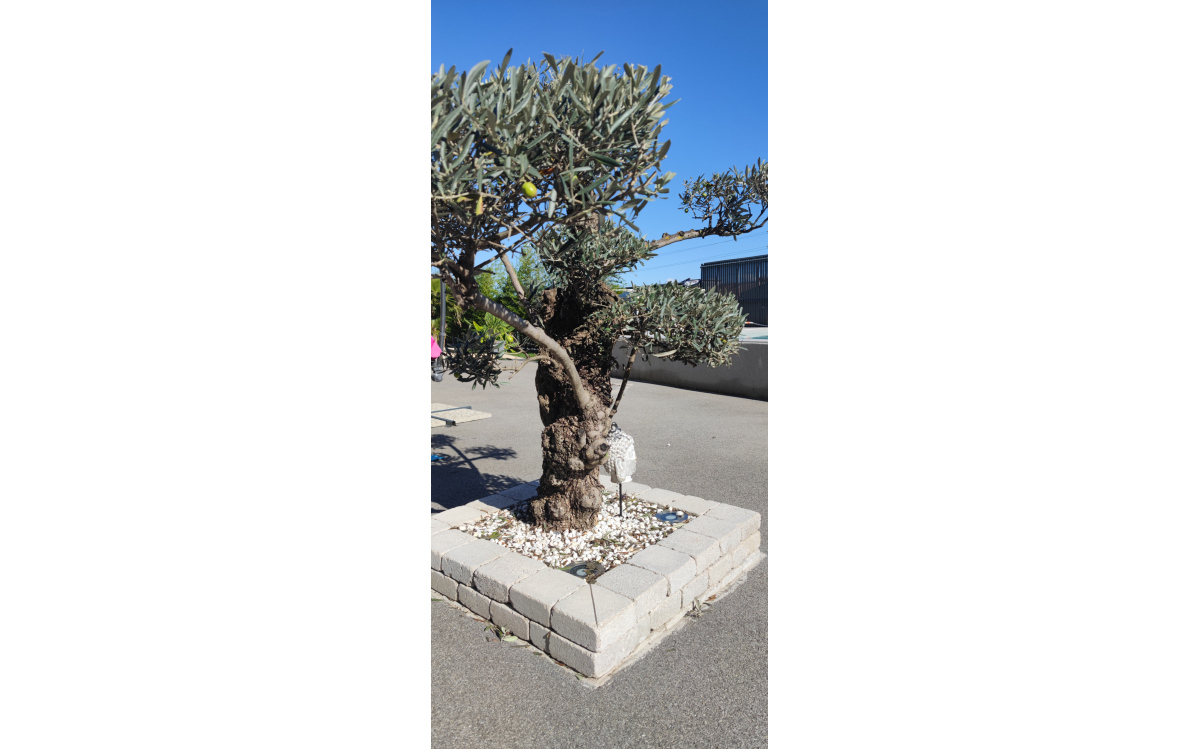 Cration Motifs en pavage dallage - Drme ralise le 09/12/2021