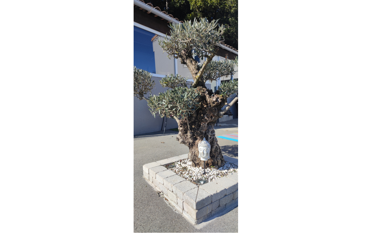 Cration Motifs en pavage dallage - Drme ralise le 09/12/2021