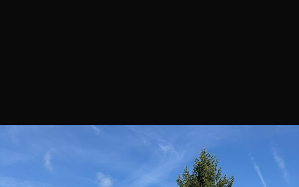 R�alisation Plage de piscine en Hydrostar� - Ain