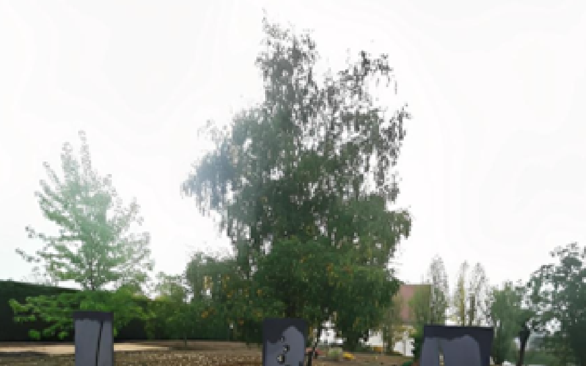 R�alisation Terrasse en dallage  gres c�rame  et cour en Gravistar� - Allier