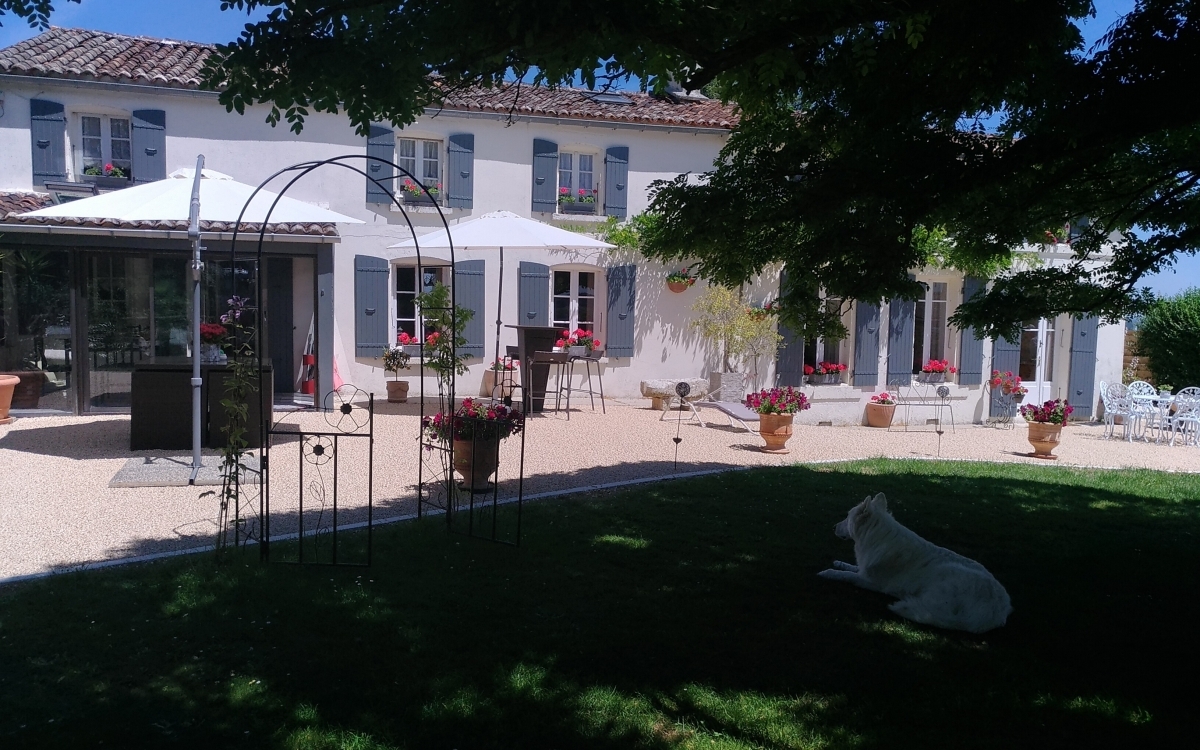 Cration Terrasse en Hydrostar  Cognac