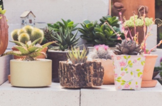 Comment décorer sa terrasse avec de la récup' ?