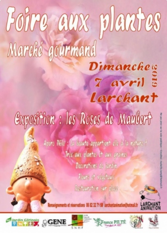 Fête des plantes Larchant 2019