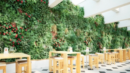 Des jardins verticaux pour embellir nos façades et assainir notre environnement