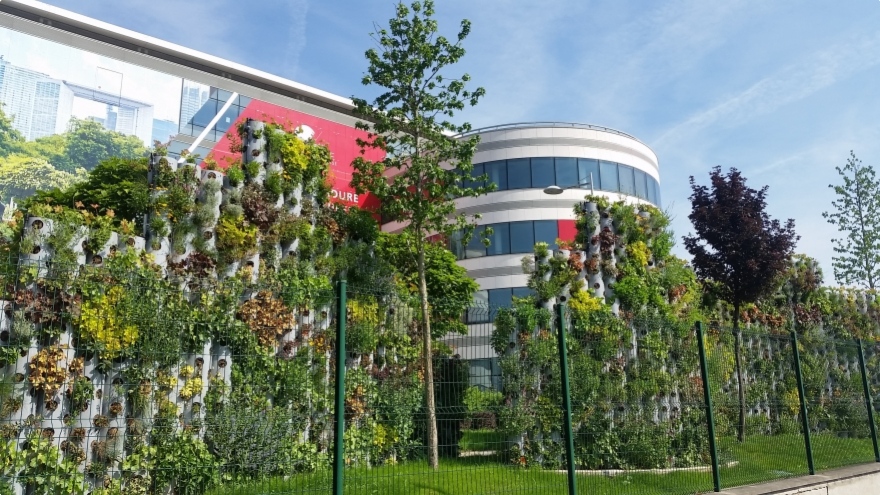 Des jardins verticaux pour embellir nos façades et assainir notre environnement