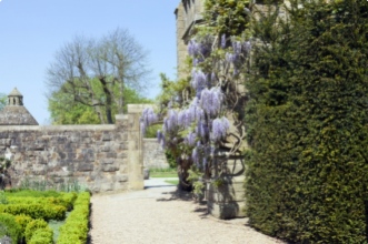 La plante grimpante: la solution tr&egrave;s d&eacute;co pour &eacute;gayer votre terrasse ou agr&eacute;menter votre jardin