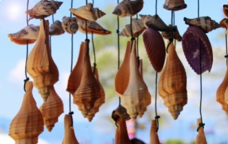 5 bonnes idées pour faire chanter votre jardin !