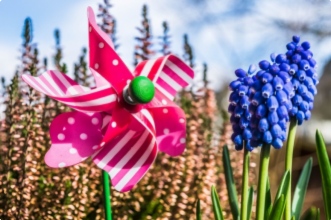 5 bonnes id&eacute;es pour faire chanter votre jardin !