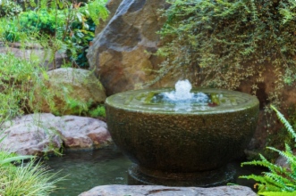 5 bonnes id&eacute;es pour faire chanter votre jardin !