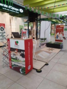 Exposition Galerie Marchande au centre Carrefour de Cr&egrave;che sur Sa&ocirc;ne 2020