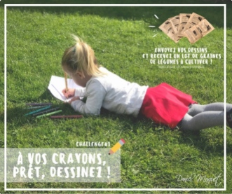Challenge 1: Dessine le jardin de tes rêves!