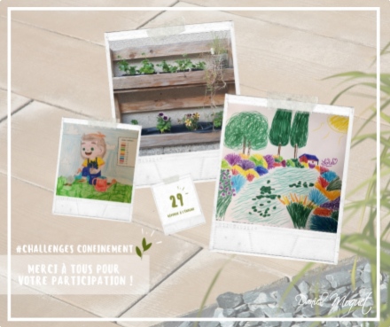 Récapitulatifs des challenges sur les réseaux sociaux ! 