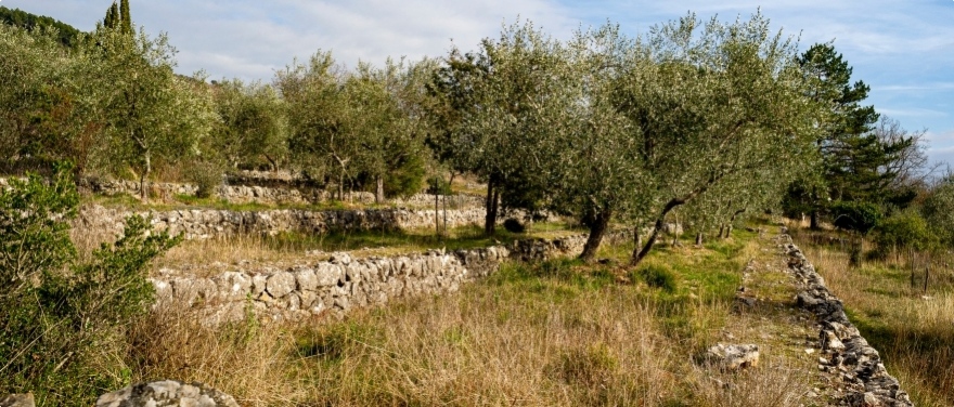 Terrain en pente : 3 solutions pour am&eacute;nager une belle terrasse 