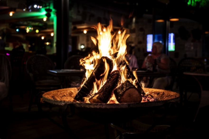 5 Bonnes idées pour donner des couleurs à votre jardin en hiver !