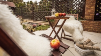 5 Bonnes id&eacute;es pour donner des couleurs &agrave; votre jardin en hiver !