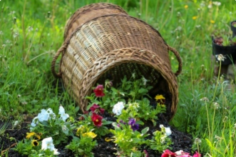 Idée de décoration extérieure : un parterre de fleurs déversées !