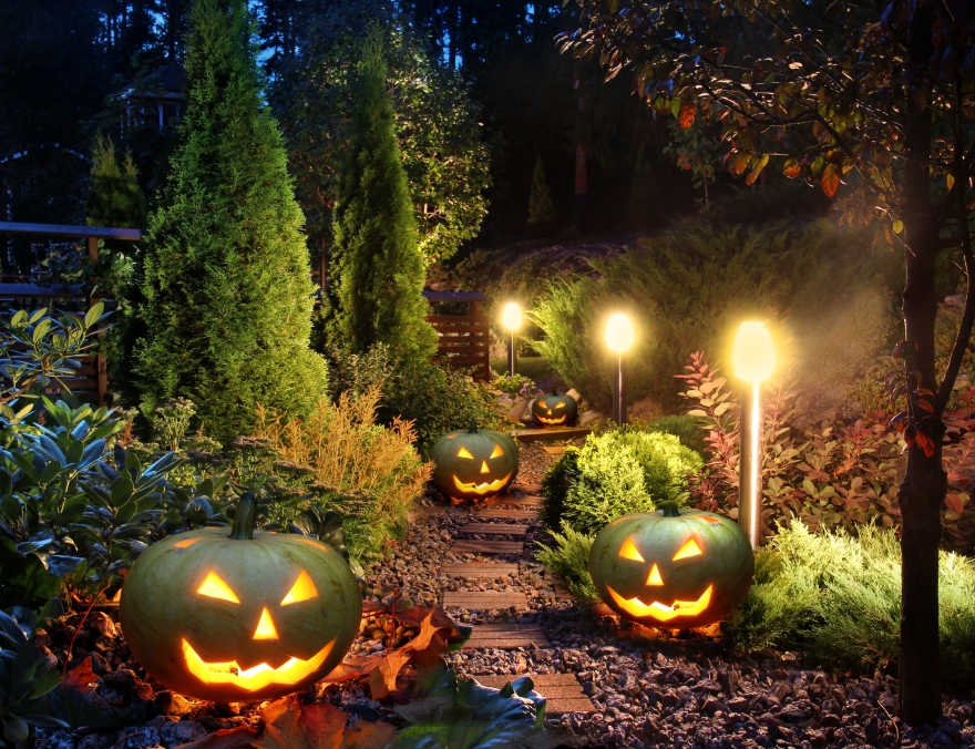 Préparer son jardin pour Halloween
