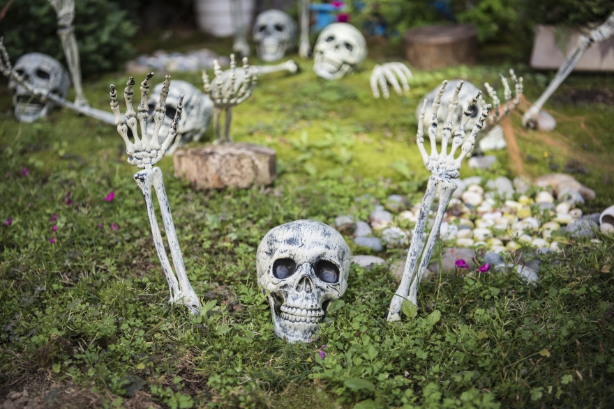 Pr&eacute;parer son jardin pour Halloween