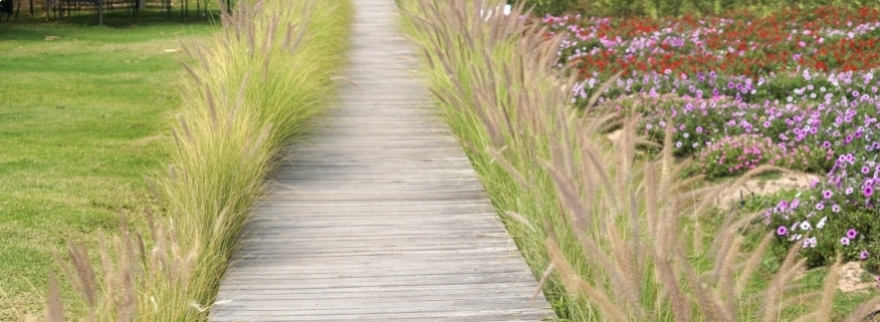 Le jardin proven&ccedil;al et son charme