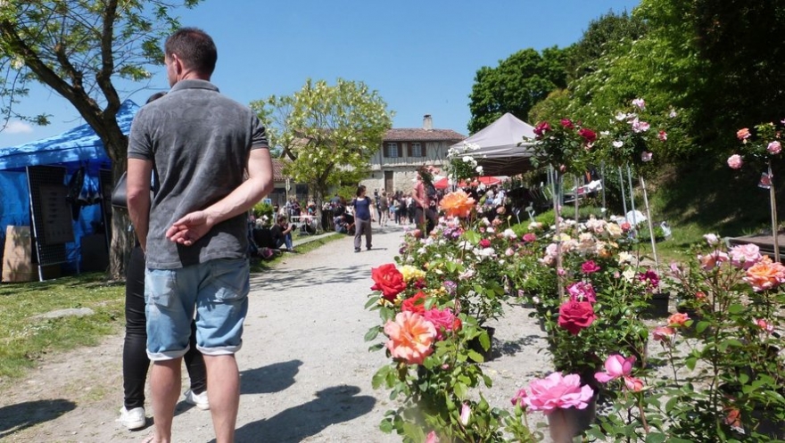 Marché au fleurs 2024