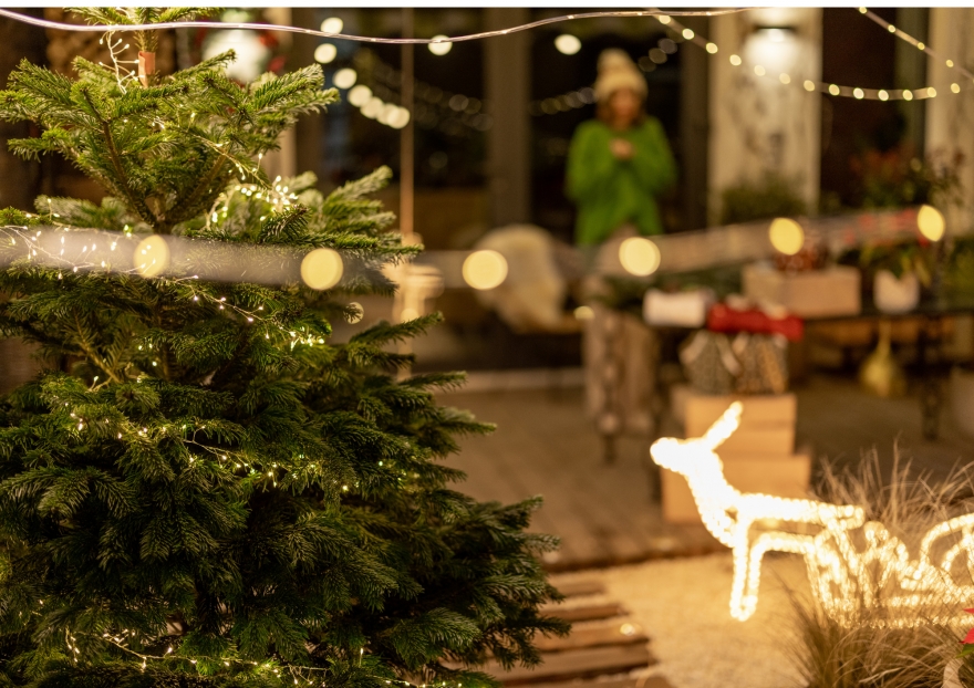 Comment Noëliser vos Extérieurs ?