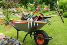 Préparer son jardin maintenant pour un festival de printemps