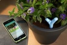 Jardin branché grâce aux outils connectés