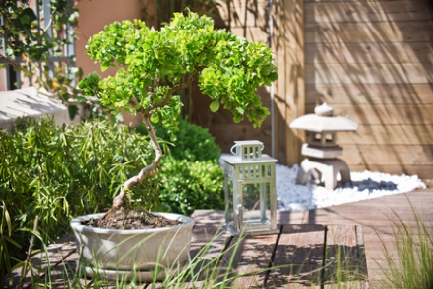 Créer un petit jardin zen, espace de sérénité