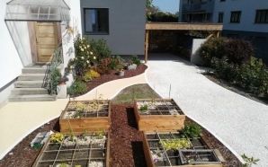 Cour en Alv�ostar� et Min�ralstar� 7557