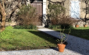 All�e pi�tonne en Alv�ostar� et Pav� la Couture� 8499