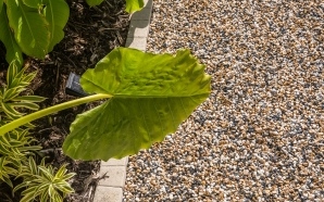 Entr�e de maison en Alv�ostar�22064