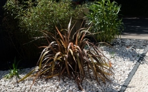 Alle pitonne en Gravistar21966