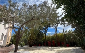 Terrasse en Alv�ostar� et pavage dallage14293