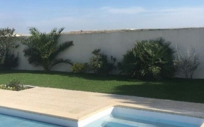 Plage de piscine en DM Green5297