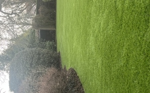 Terrasse en Dm green�23434