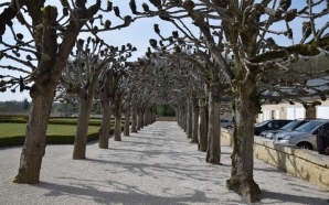 Chemin en Gravistar 7664