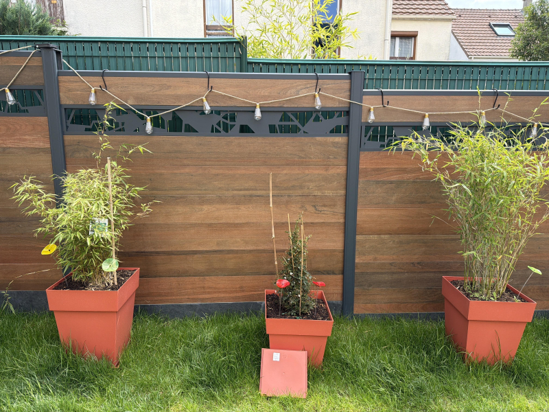 Entreprise Thuard
