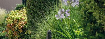 Portes ouvertes et foire aux plantes