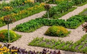 Allée de jardin