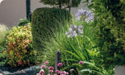 Portes ouvertes du 20 au 22 mars 2026