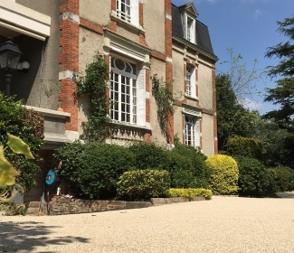 Cour